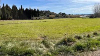 Finca rústica en venta en Calle Afueras