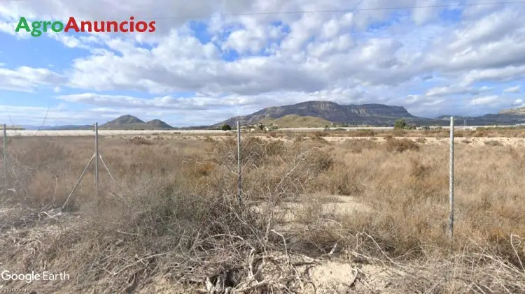 Venta  de Finca regadío para invernaderos en Alicante