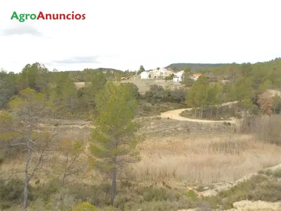 Venta  de Finca de secano en Valencia