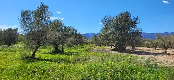 Finca Rustica con Casa en Roquetes Tarragona
