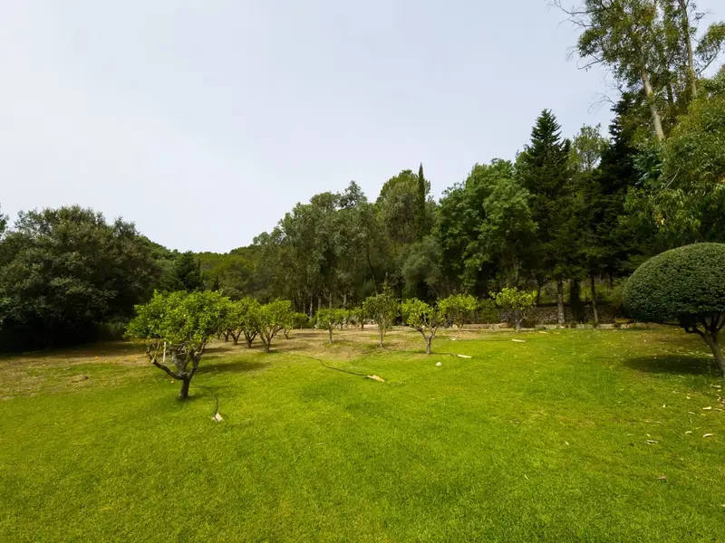 Chalet en Venta Puigpunyent Mallorca