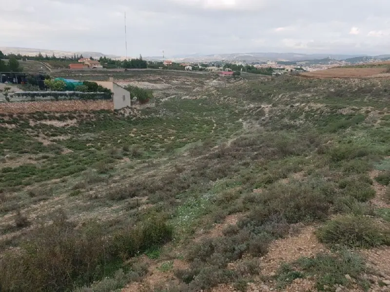 Venta Terreno Rural en La Muela Teruel