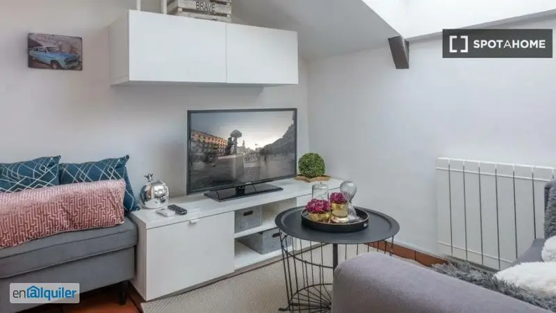 Apartamento Amueblado 1 Dormitorio Madrid Centro