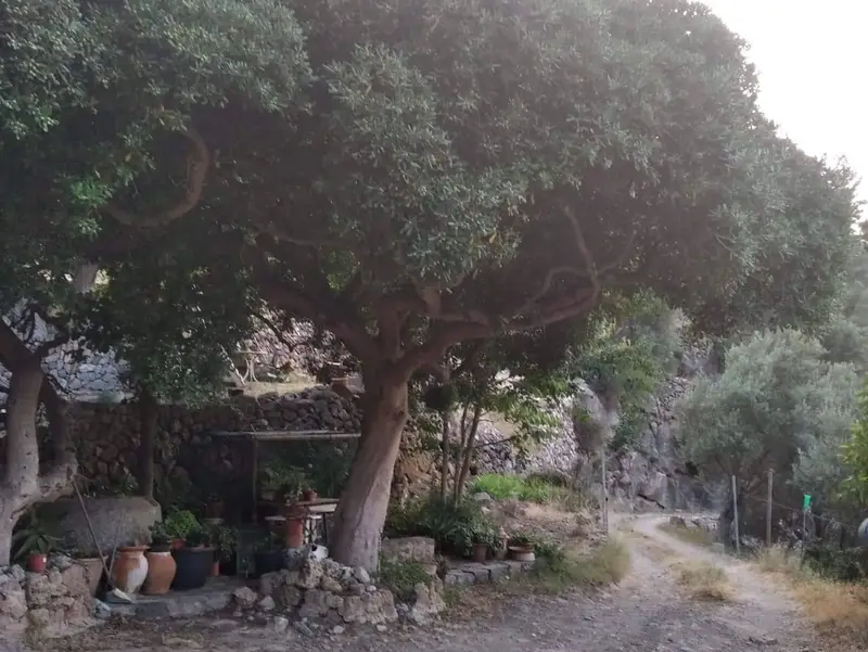 Chalet en venta en Deià, Mallorca