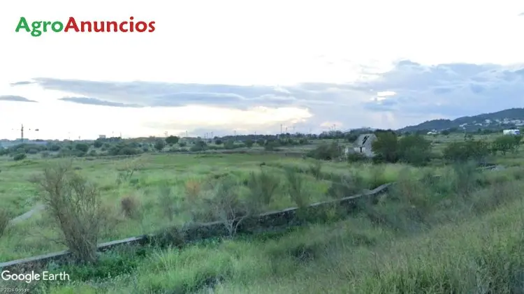 Venta  de Finca con almacén en Castellón