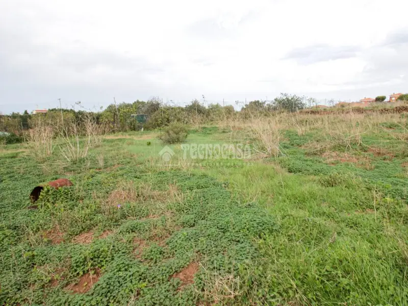 Terrenos en venta en Tacoronte