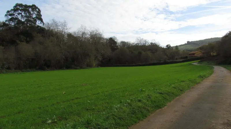 Venta Finca Rustica Ruiloba Cantabria