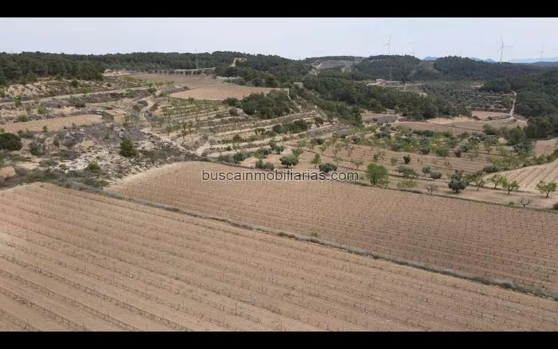 Finca Rustica con Masia en Caseres