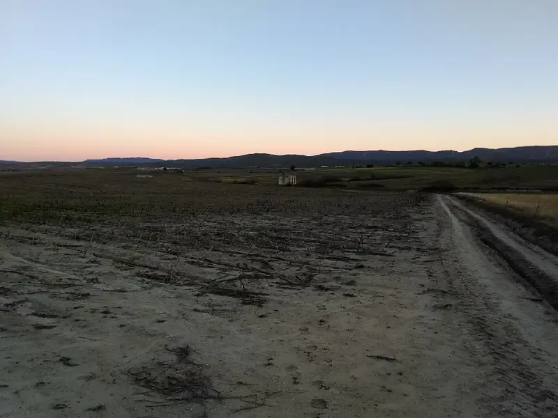 Venta Finca Rustica Riolobos 85 Has Regadio Secadero