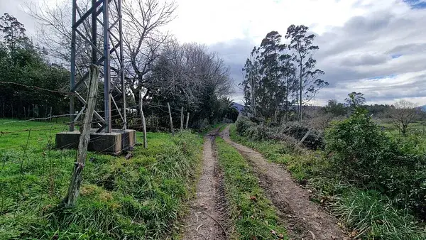 Finca Rustica en Venta Reocin Cantabria 9116m2