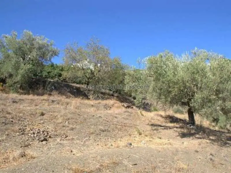 Parcela en Venta Canillas de Albaida: Vistas al Mar y Montaña
