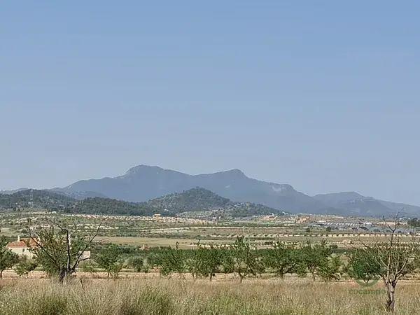 Solar Edificable 14500m2 Murcia Jumilla