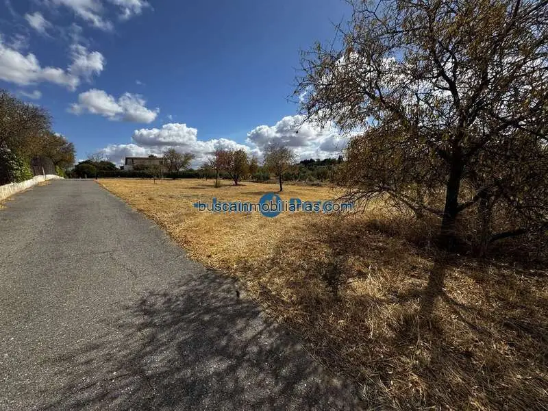 Parcela en Venta en San Marcos 2000m2