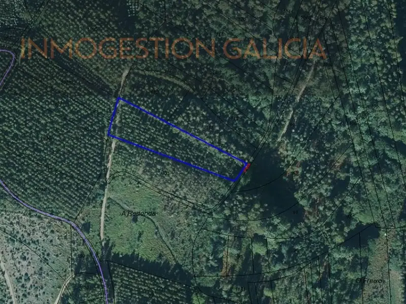 Venta Finca Rustica con Eucaliptos en Carral