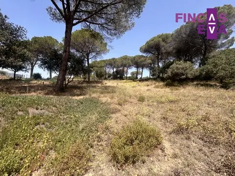 Casa Villa en Venta Vallromanes Gran Terreno