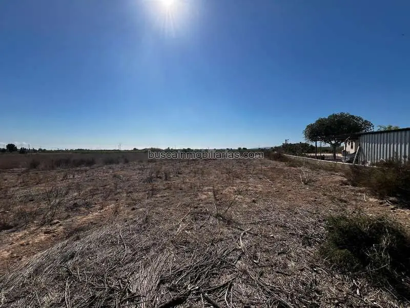 Finca Rustica en Venta Torrellano Elche