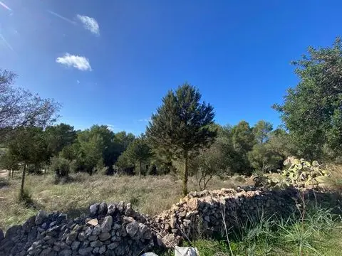 Finca con Vistas al Mar en San Rafael  Ibiza
