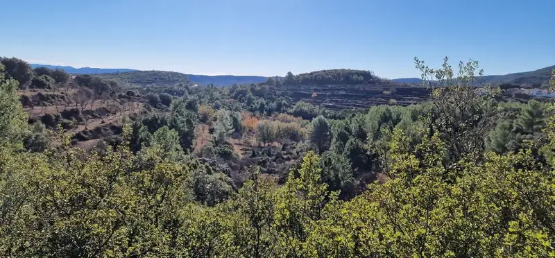 Venta Terreno Rustico Atzeneta del Maestrat Vistas Despejadas