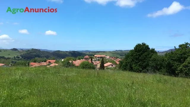 Venta  de Finca urbana en Cantabria