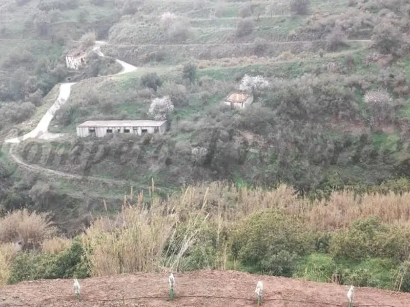 Parcelas Rusticas en Torrox Malaga