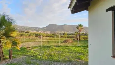 Finca Rústica en Alquiler Cártama 3 Dormitorios