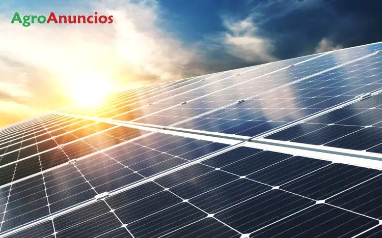 Compra  de Fincas rústicas para poner placas solares en Lleida