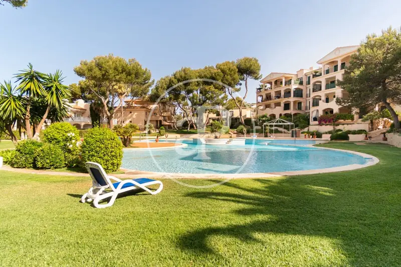 Apartamento en alquiler en Santa Ponsa, Calvià, Mallorca