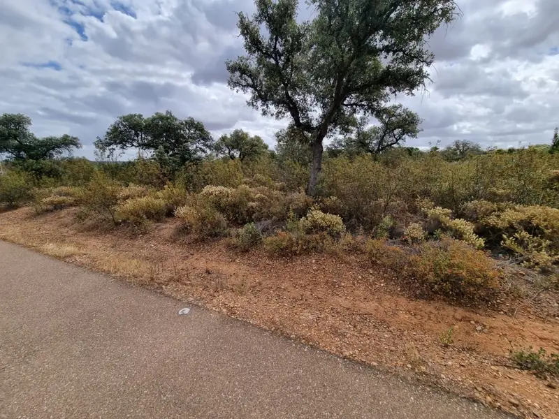 Venta Parcela Rustica Campomanes 2000m2 Ref V2436