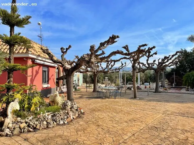 Villa en Venta en Aldover Tarragona con Piscina y Olivos