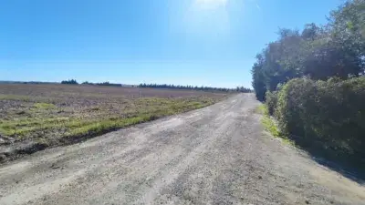 Finca rústica en venta en Las Cabezas de San Juan