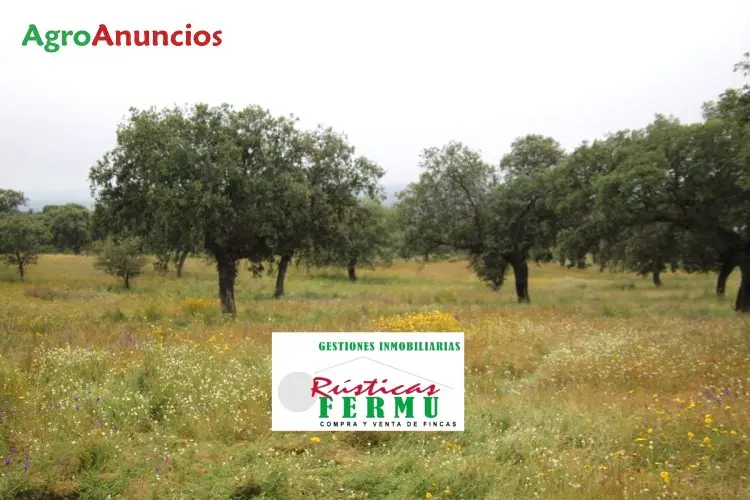 Venta Chalet 45 Fanegas PozoBlanco Cordoba