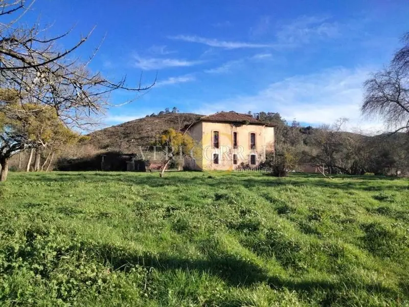 Venta Chalet en Oviedo Asturias Casona siglo XIX 289m2 12187m2