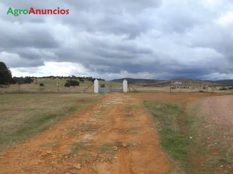 Venta  de Finca de secano con pastos en Ciudad Real