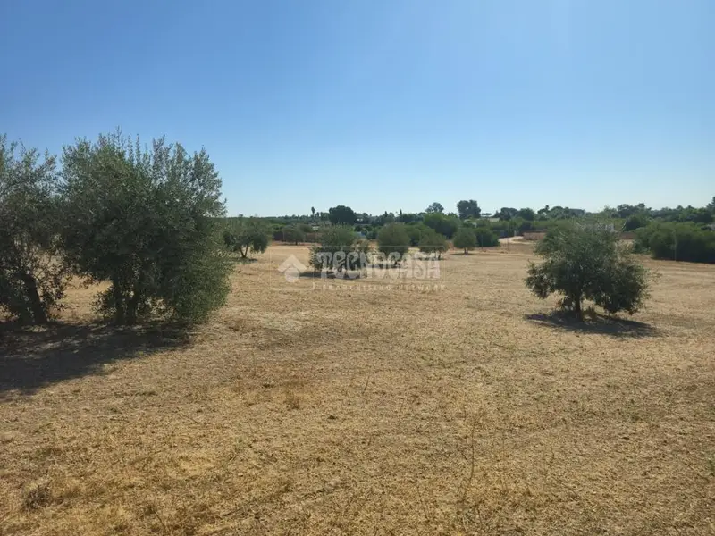 Terrenos en venta en Arahal