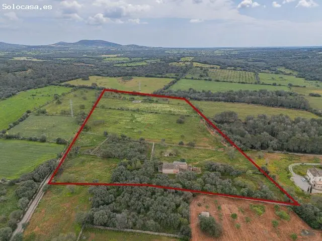 Parcela De 81000 M2 Entre Campos Y Santanyi