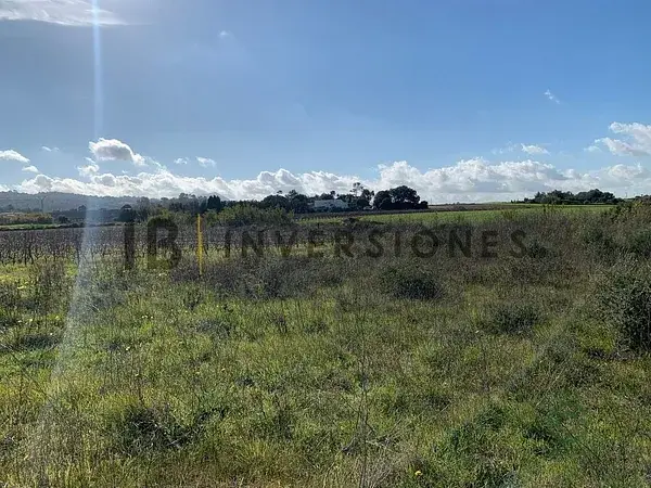 Terreno Rustico 2434m2 Manacor Cultivo Cerca Playas
