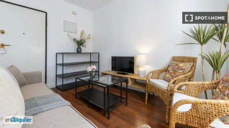 Apartamento Amueblado 1 Dormitorio Madrid