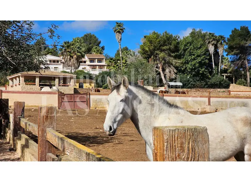 Hacienda Andaluza en Ibiza con Criadero de Caballos PRE