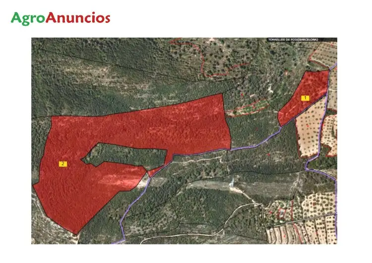 Venta  de Finca rústica forestal en Barcelona