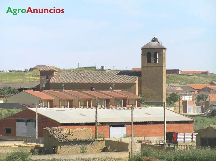 Venta  de Terreno forestal en Zamora