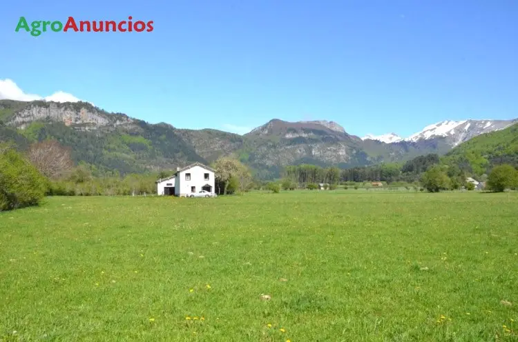 Venta  de Finca rústica con borda refugio en Navarra