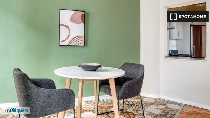 Apartamento 1 Dormitorio Madrid Alquiler Amueblado