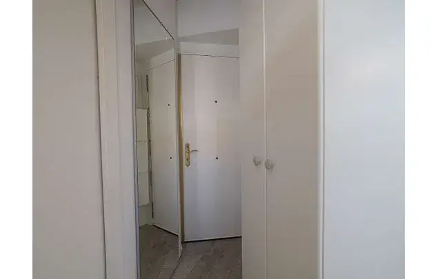 Estudio 28m² Madrid La Latina Soltero Luminoso Rústico