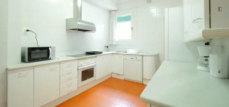 Habitacion Doble en Piso Compartido L'Eixample