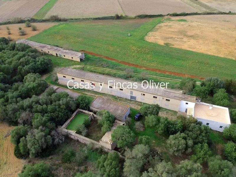 Finca Rustica en Ariany Mallorca 27511m2 Almacenes Casa 3 Dormitorios
