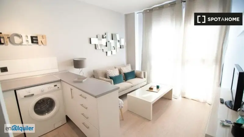 Alquiler Piso 1 Dormitorio Cuatro Caminos Amueblado