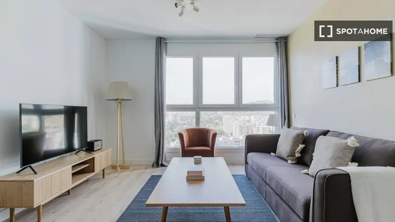 Alquiler Piso 1 Dormitorio Málaga Amueblado Planta 18