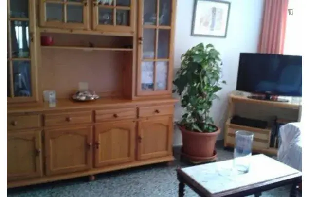 Alquiler Apartamento 3 Dormitorios Málaga