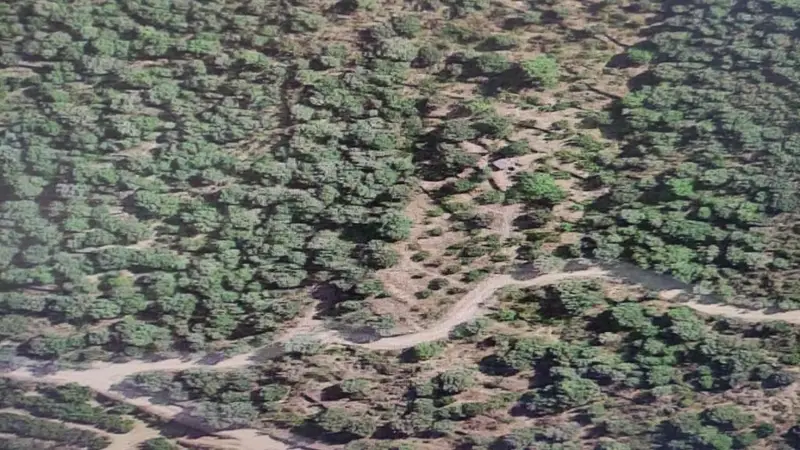Venta Suelo Rustico Sant Antoni lAleixar 14170m2 Avellanos
