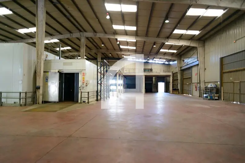Nave Industrial en Girona Sur con Cámaras Frigoríficas